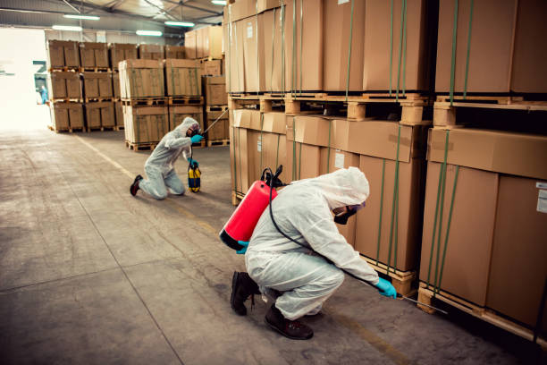 Best Exterminator Services  in Paramount, CA