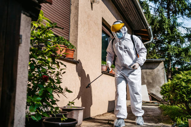 Best Best Pest Control Companies  in Paramount, CA